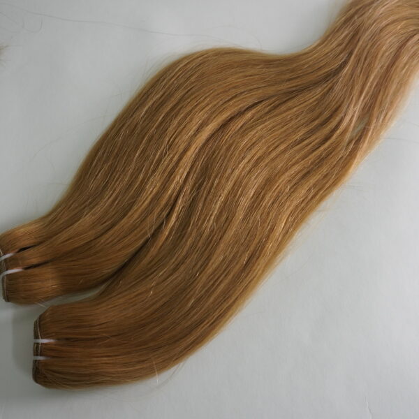 Weft Color number #27 hair extension - Vietnam Extension Hair